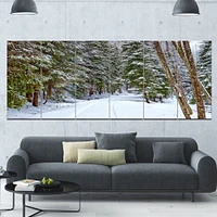 Snowy Road the Forest  Canvas Wall Art