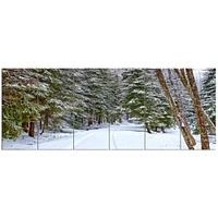 Snowy Road the Forest  Canvas Wall Art