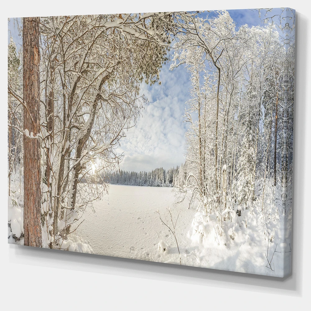 Lake Winter Woods  Wall Art