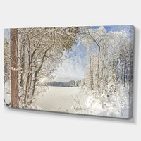 Lake Winter Woods  Wall Art