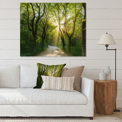 Evening Green Forest  Canvas Art Print