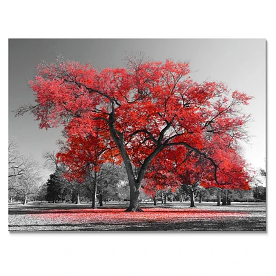 Big Red Tree on Foggy Day  Canvas Art Print