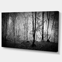 Toile  imprimée « Beautiful Forest Morning Panorama »