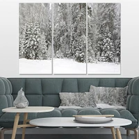 Toile « Foggy Winter Forest Panorama