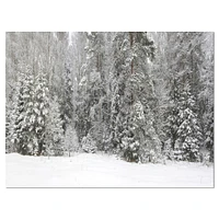 Toile « Foggy Winter Forest Panorama