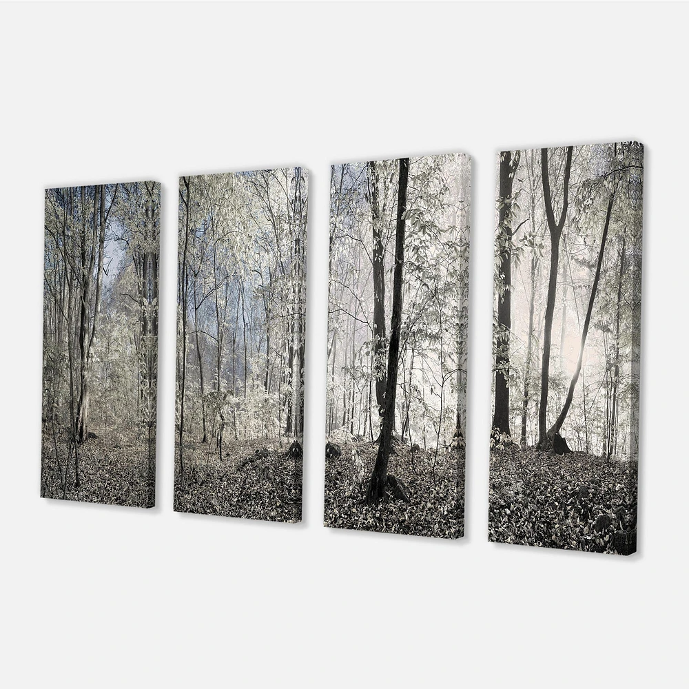 Dark Morning the Forest 4 Canvas Wall Art