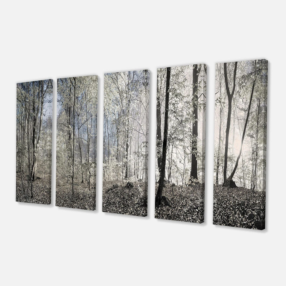 Dark Morning the Forest 4 Canvas Wall Art