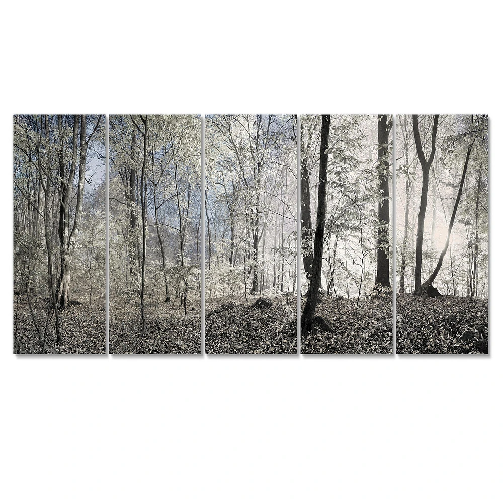 Dark Morning the Forest 4 Canvas Wall Art