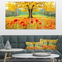 Beautiful Autumn Yellow Tree  Canvas Wall Art