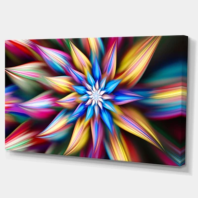 Exotic Multi Color Flower Petals  Wall Art
