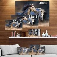 Horses run dust Wall Art