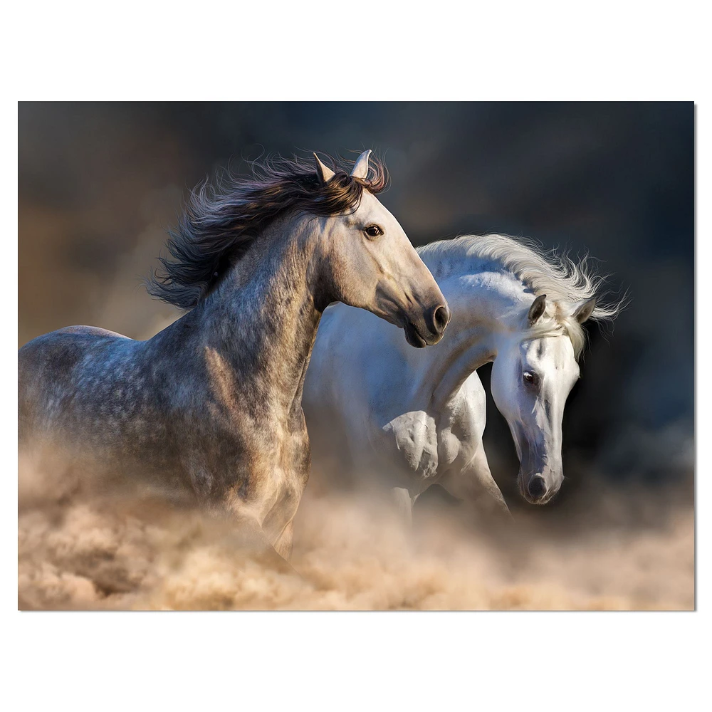 Horses run dust Wall Art