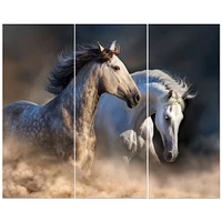 Horses run in dust Canvas Wall Art - 3 Panels