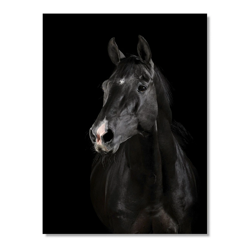 Toile « Black Horse darkness »