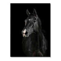 Toile « Black Horse darkness »