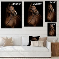 Horse Portrait  Canvas