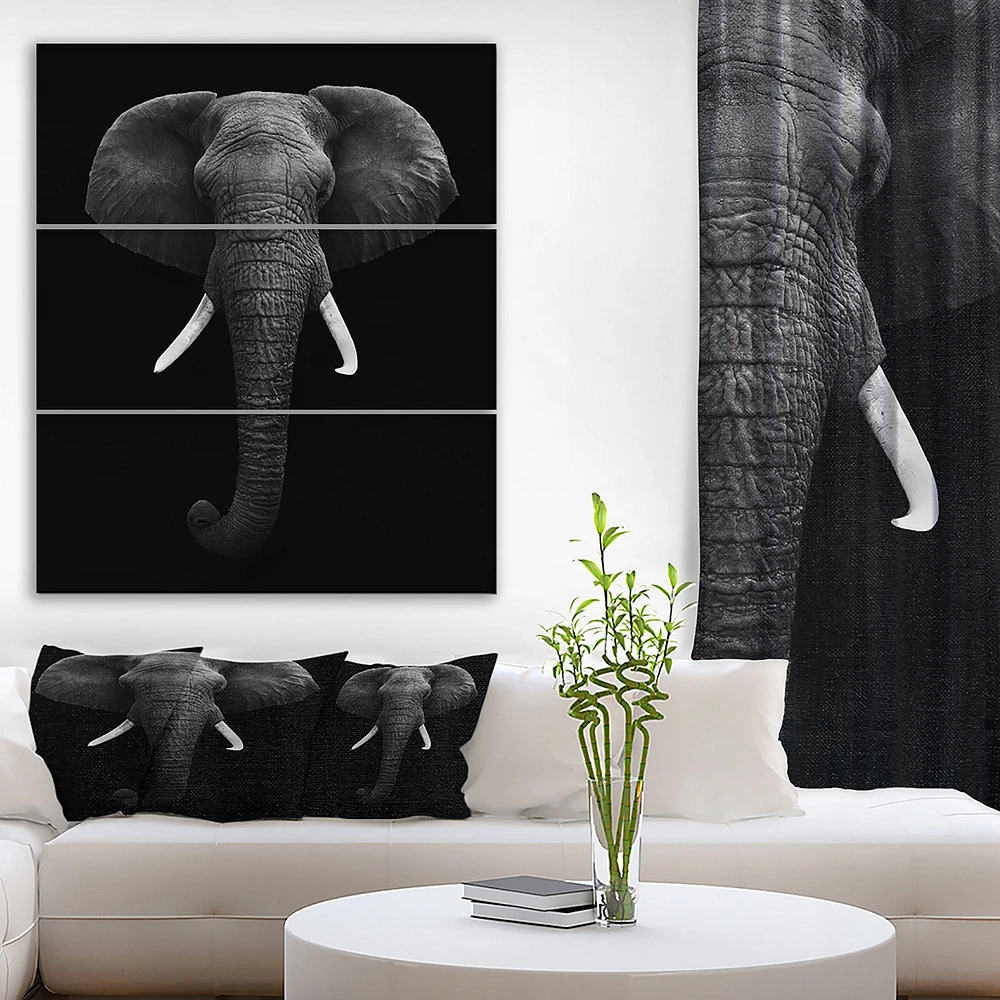 African Elephant Canvas Wall Art Panels