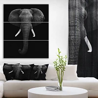 Panneaux de toile « African Elephant »