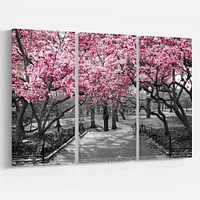 Cherry Blossoms Canvas Wall Art Panels