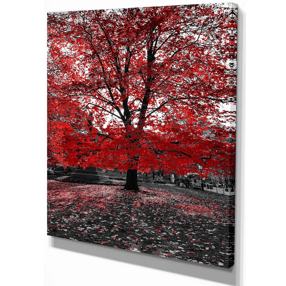 Toile « Red Tree Central Park »