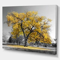 Big Golden Tree  Canvas Wall Art