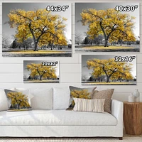 Big Golden Tree  Canvas Wall Art