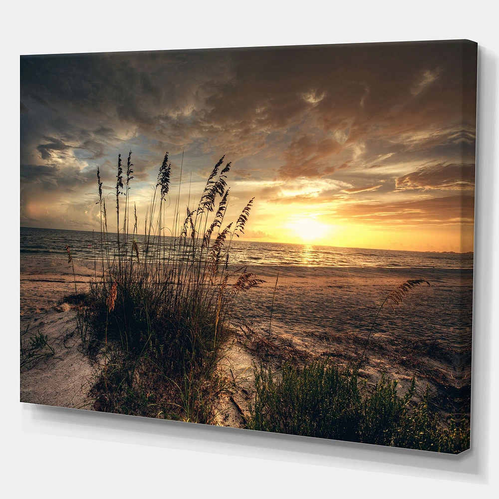 Grassy and Beach Sunset  Wall Art Canvas