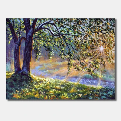 Tree by River First Rays of Afternoon Sun  Wall Art