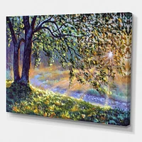 Tree by River First Rays of Afternoon Sun  Wall Art