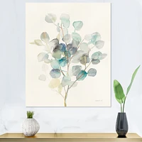 Eucalyptus Leaves I  Canvas Wall Art