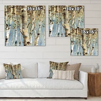 White Birch Forest II  Canvas Wall Art