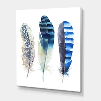 Toile « Colourful Boho Feathers I »