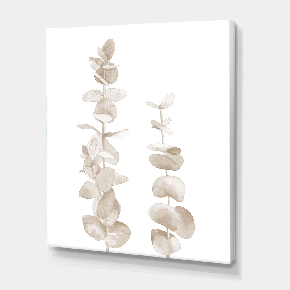 Beige Eucalyptus Branches on White  Wall Art