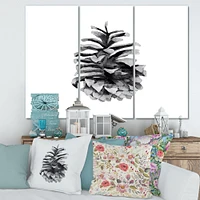 Conifer Cone Monochrome Canvas Wall Art - 3 Panels