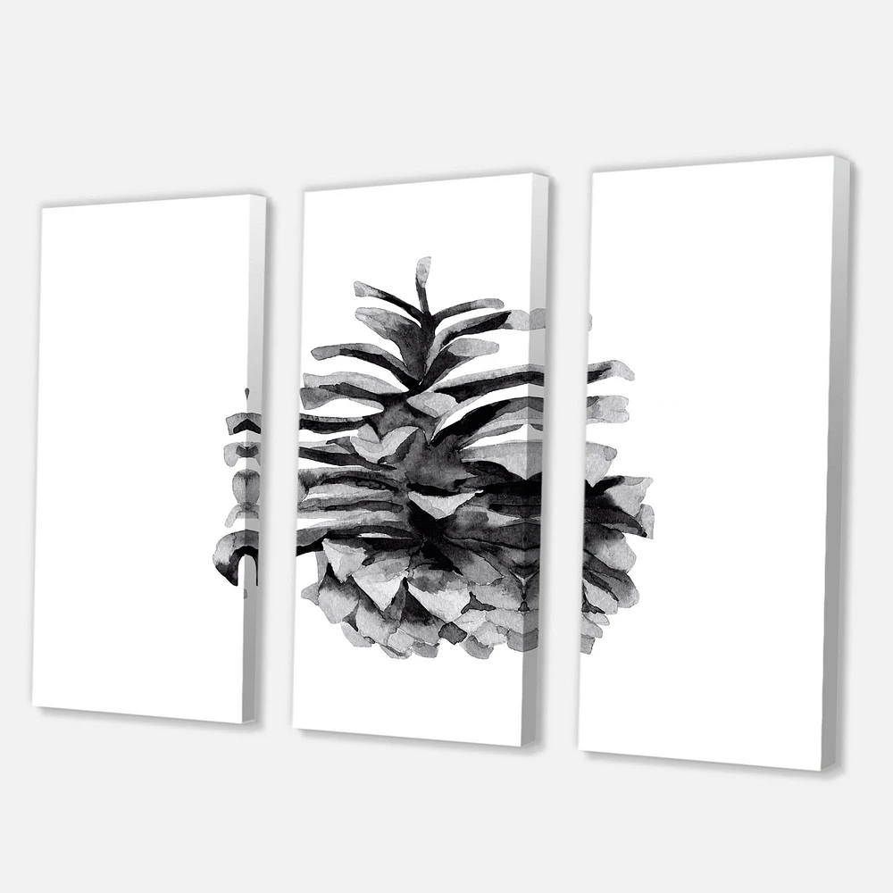 Conifer Cone Monochrome Canvas Wall Art - 3 Panels