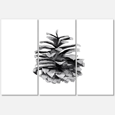 Conifer Cone Monochrome Canvas Wall Art - 3 Panels