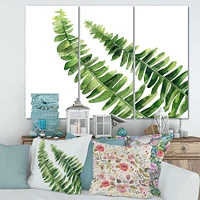 Fern Leaves Detail I  Canvas Wall Art