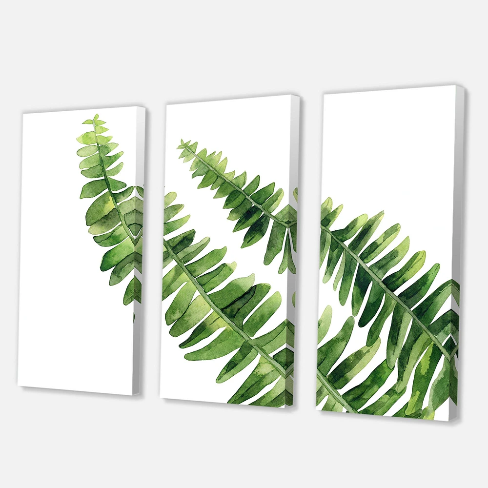 Fern Leaves Detail I  Canvas Wall Art