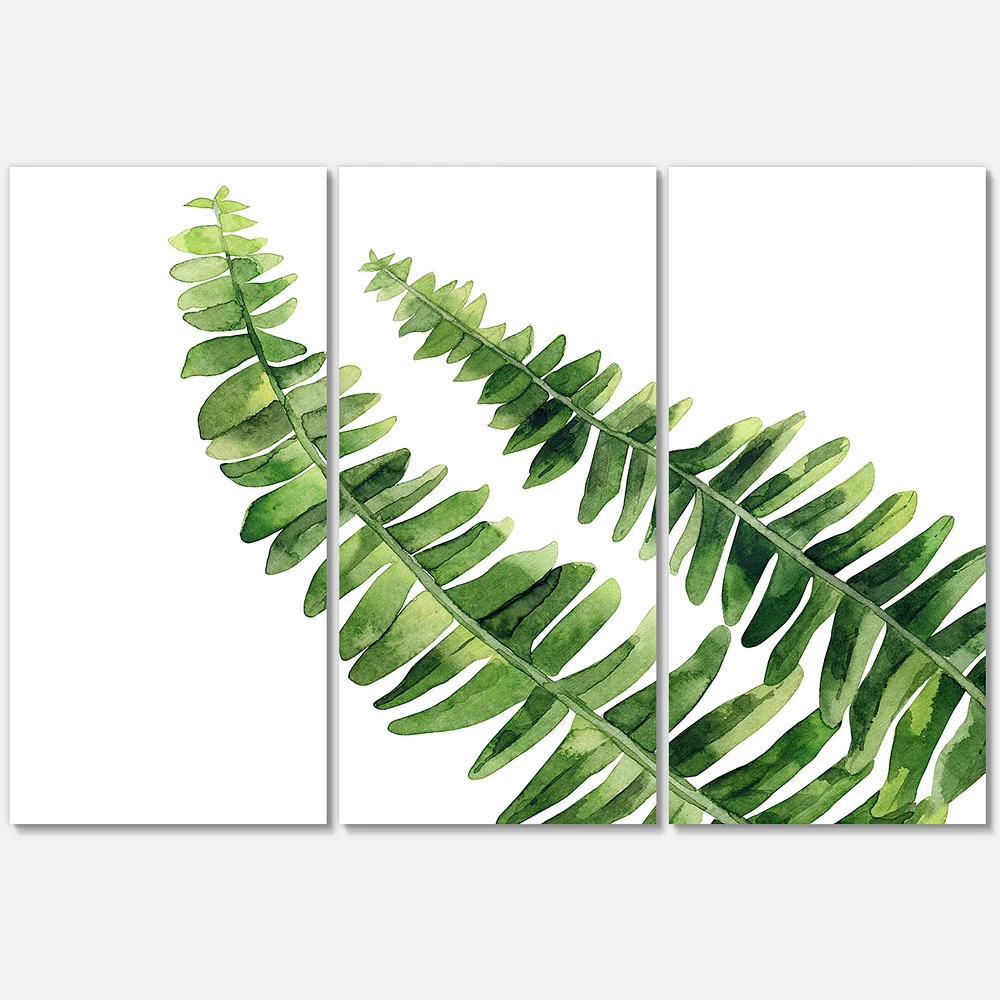 Fern Leaves Detail I  Canvas Wall Art