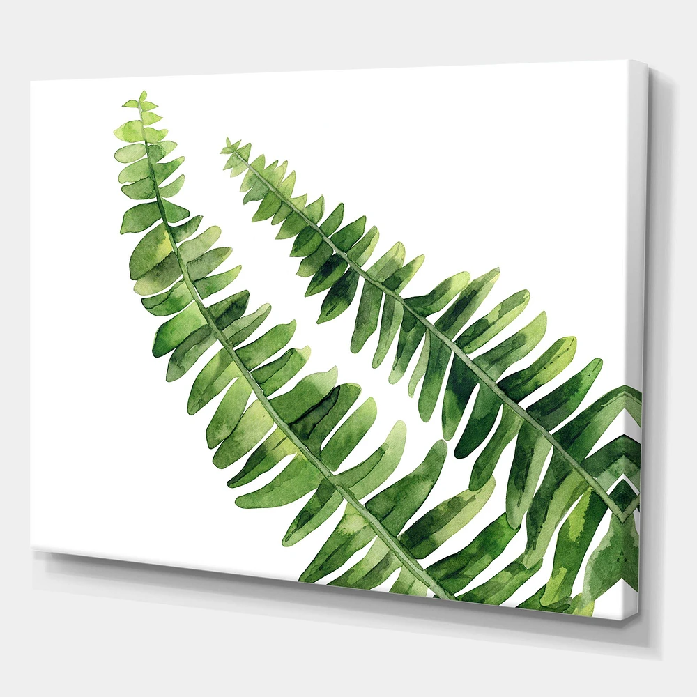 Fern Leaves Detail I  Wall Art