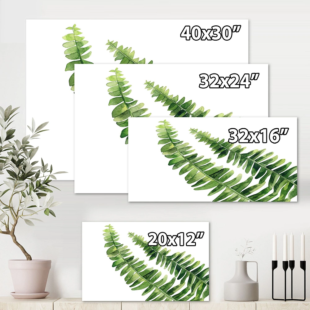 Fern Leaves Detail I  Wall Art