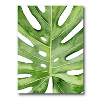 Toile « Green Monstera Leaf Tropical Palm Botanical Detail »