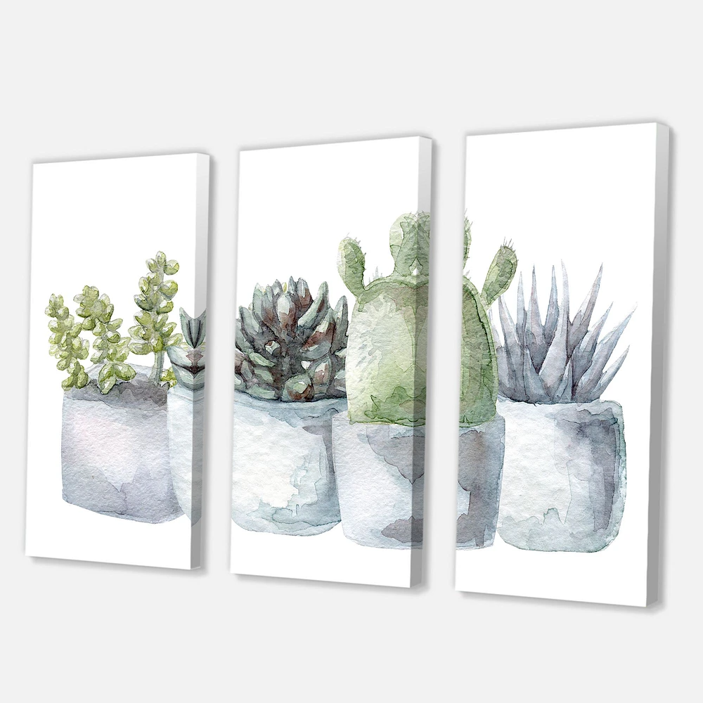 Cactus and Succulent House Plants I  Canvas Wall Art