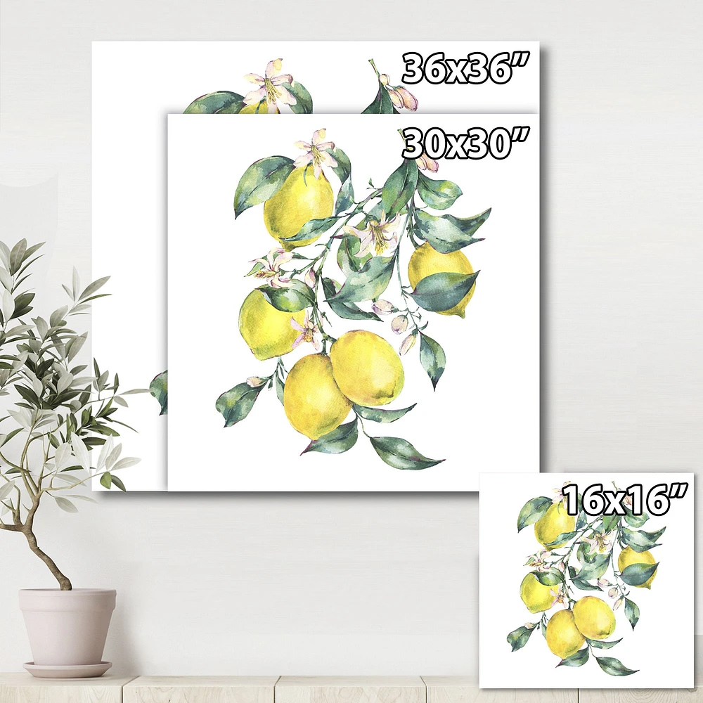 Branch of Yellow Lemons and Leaves I  Wall Art