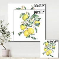 Branch of Yellow Lemons and Leaves I  Wall Art