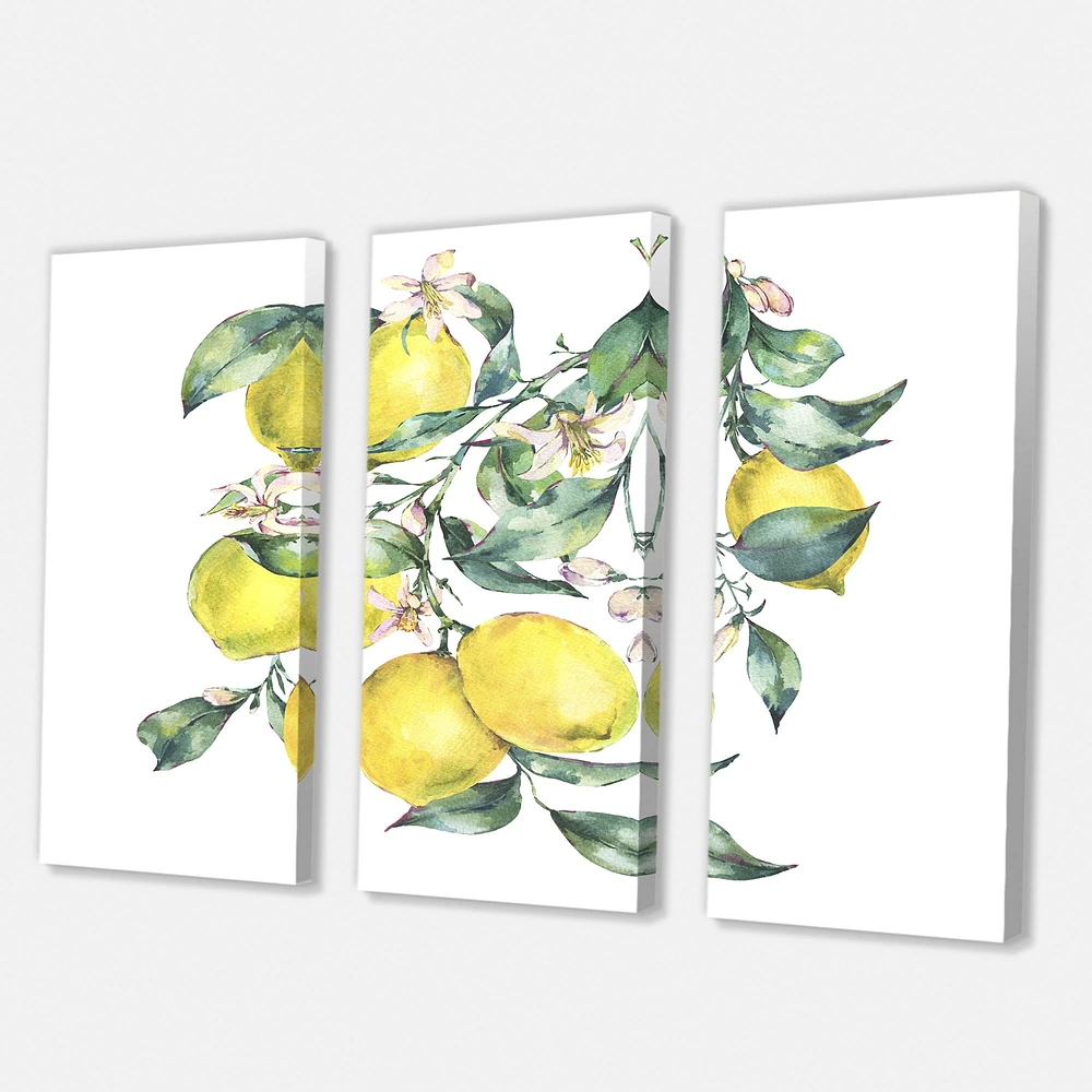 Branch of Yellow Lemons and Leaves I  Canvas Wall Art