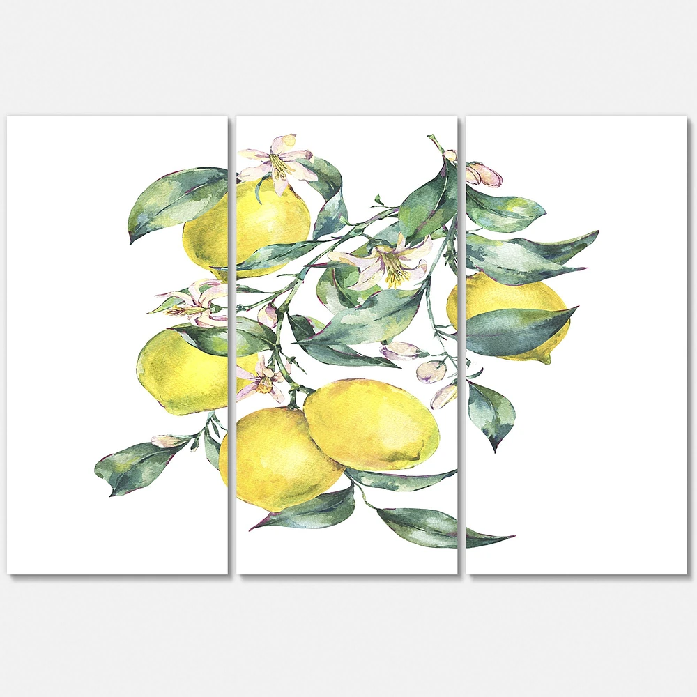 Branch of Yellow Lemons and Leaves I  Canvas Wall Art