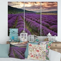 Lavender Field At Dawn I Canvas Wall Art - 3 Panels