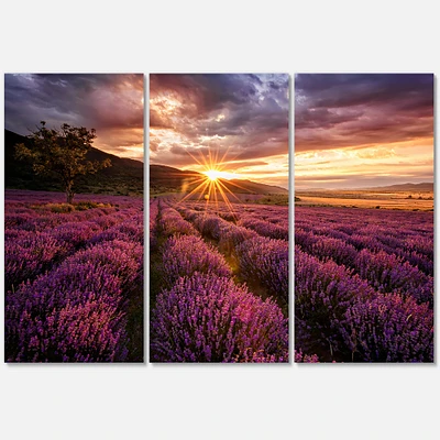 Toile « Sunrise & Dramatic Clouds Over Lavender Field IV