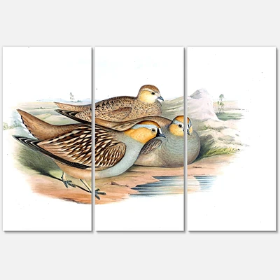 Vintage Birds in The Wild III Canvas Wall Art - 3 Panels